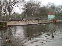 Stamford Park Boating Lake