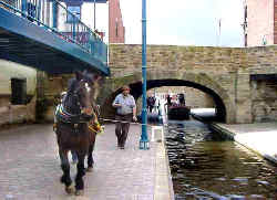 Under the bridge at Melbourne Street.